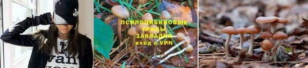 меф VHQ Нефтекумск