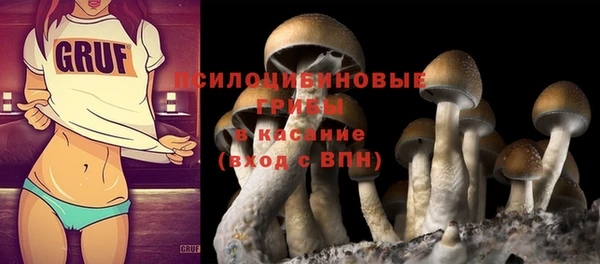 гидропоника Новодвинск